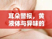 耳朵警報，黃液體與異味的成因揭秘