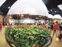 問道手游中，豹子能否成為你的最佳寵物伴侶？
