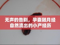 無聲的告別，孕囊隨月經(jīng)自然流出的小產(chǎn)經(jīng)歷