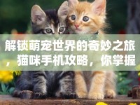 解鎖萌寵世界的奇妙之旅，貓咪手機攻略，你掌握了嗎？