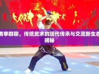 南拳群聊，傳統(tǒng)武術(shù)的現(xiàn)代傳承與交流新生態(tài)揭秘