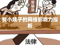 我小姨子的網(wǎng)絡影響力探析