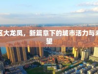 江海區(qū)大龍鳳，新篇章下的城市活力與未來展望