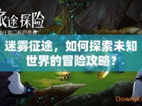 迷霧征途，如何探索未知世界的冒險(xiǎn)攻略？