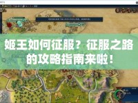 姬王如何征服？征服之路的攻略指南來啦！