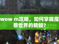 wow m攻略，如何掌握魔獸世界的精髓？