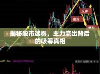 揭秘股市迷霧，主力流出背后的吸籌真相