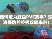 如何成為鯨魚PVE高手？深海探險的終極攻略來啦！