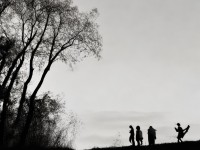 松鼠技能如何成為神武2手游中的靈動(dòng)與智慧擔(dān)當(dāng)？