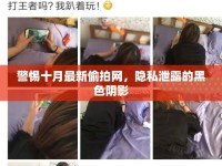 警惕十月最新偷拍網(wǎng)，隱私泄露的黑色陰影