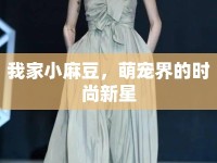我家小麻豆，萌寵界的時尚新星