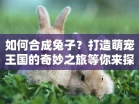 如何合成兔子？打造萌寵王國(guó)的奇妙之旅等你來(lái)探索！