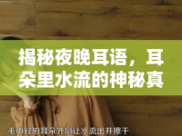 揭秘夜晚耳語，耳朵里水流的神秘真相