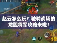 趙云怎么玩？馳騁戰(zhàn)場(chǎng)的龍膽將軍攻略來啦！