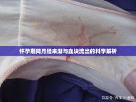 懷孕期間月經(jīng)來潮與血塊流出的科學解析