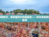 舞鋼四月，春意盎然中的新篇章——四月最新新聞速遞