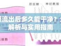 脫膜流出后多久能干凈？全面解析與實用指南