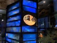 國產(chǎn)精品日韓，文化交融與市場新趨勢
