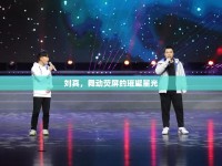 劉真，舞動熒屏的璀璨星光