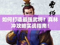 如何打造最強武將？真林沖攻略實戰(zhàn)指南！