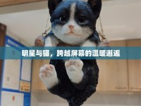 明星與貓，跨越屏幕的溫暖邂逅