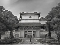 老鴨窩網(wǎng)站，你的一站式綜合服務(wù)平臺，真的能滿足所有需求嗎？