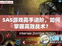 SAS游戲高手進(jìn)階，如何掌握高效戰(zhàn)術(shù)？