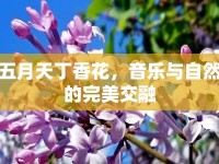 五月天丁香花，音樂與自然的完美交融
