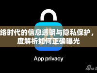 網(wǎng)絡(luò)時(shí)代的信息透明與隱私保護(hù)，深度解析如何正確曝光