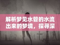 解析夢(mèng)見水管的水流出來的夢(mèng)境，探尋深層含義