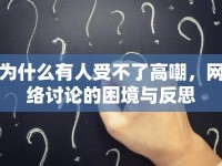 為什么有人受不了高嘲，網(wǎng)絡(luò)討論的困境與反思