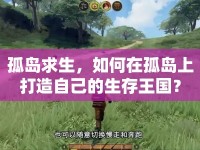 孤島求生，如何在孤島上打造自己的生存王國？