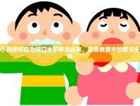 小狗摔傷后為何口水不停流出來，緊急救援中的愛與關(guān)懷