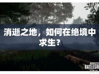 消逝之地，如何在絕境中求生？