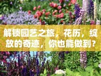 解鎖園藝之旅，花歷，綻放的奇跡，你也能做到？