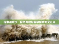 探索潮噴水，自然奇觀與科學(xué)探索的交匯點(diǎn)