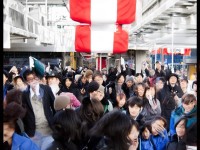哥布林活動獎勵太誘人？這份RO手游攻略讓你輕松拿滿！