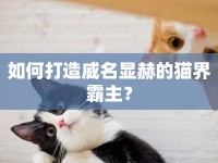 如何打造威名顯赫的貓界霸主？