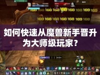 如何快速從魔獸新手晉升為大師級玩家？