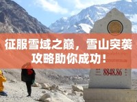 征服雪域之巔，雪山突襲攻略助你成功！