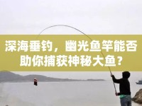 深海垂釣，幽光魚竿能否助你捕獲神秘大魚？