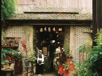 手游誅仙中炫酷羽翅如何輕松入手？這份獨(dú)家攻略告訴你！，采用疑問句引發(fā)好奇，關(guān)鍵詞炫酷輕松獨(dú)家增強(qiáng)吸引力，同時(shí)明確攻略價(jià)值感）
