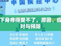 下身癢得受不了，原因、應對與預防