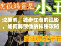 沈孤鴻，獨(dú)步江湖的孤影，如何解鎖他的神秘攻略？