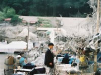 神武手游掛機門派，真的能輕松升級、樂趣無限嗎？