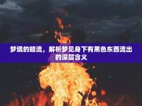 夢(mèng)境的暗流，解析夢(mèng)見(jiàn)身下有黑色東西流出的深層含義