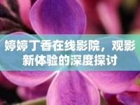 婷婷丁香在線影院，觀影新體驗(yàn)的深度探討