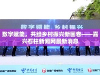 數(shù)字賦能，共繪鄉(xiāng)村振興新畫卷——嘉興石柱新聞網(wǎng)最新消息