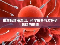 射精后精液流出，科學解析與對懷孕風險的影響