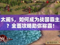 太閣5，如何成為戰(zhàn)國霸主？全面攻略助你稱霸！